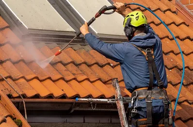 Démoussage et hydrofuge de toiture à Savignac